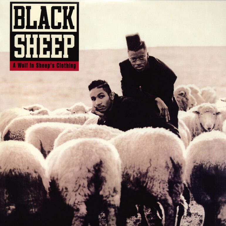 A Wolf In Sheep's Clothing
