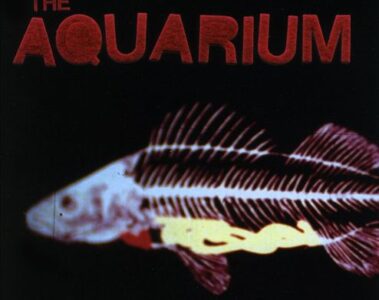 The Aquarium