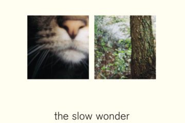 The Slow Wonder