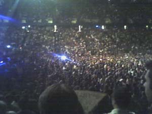 pearl jam crowd