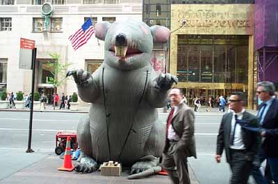 the union rat