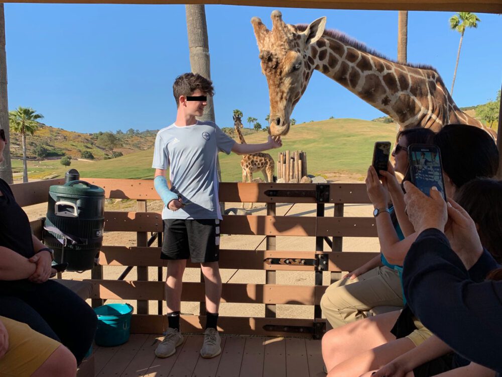 Feeding Giraffe