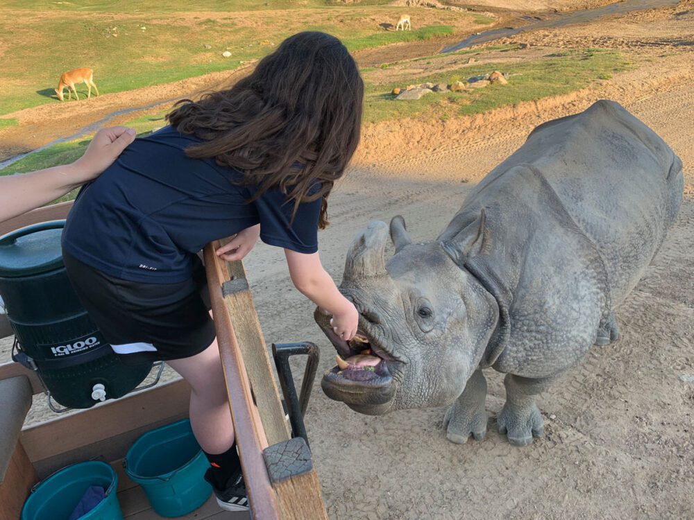 Feeding Rhino