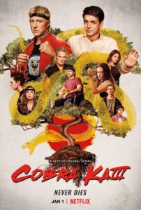 Cobra Kai Season 3