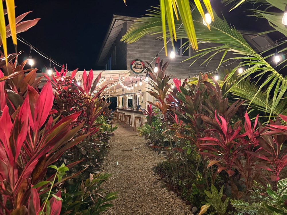 Pipa Beach Bar
